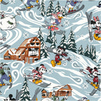 Disney Miramar Weekender