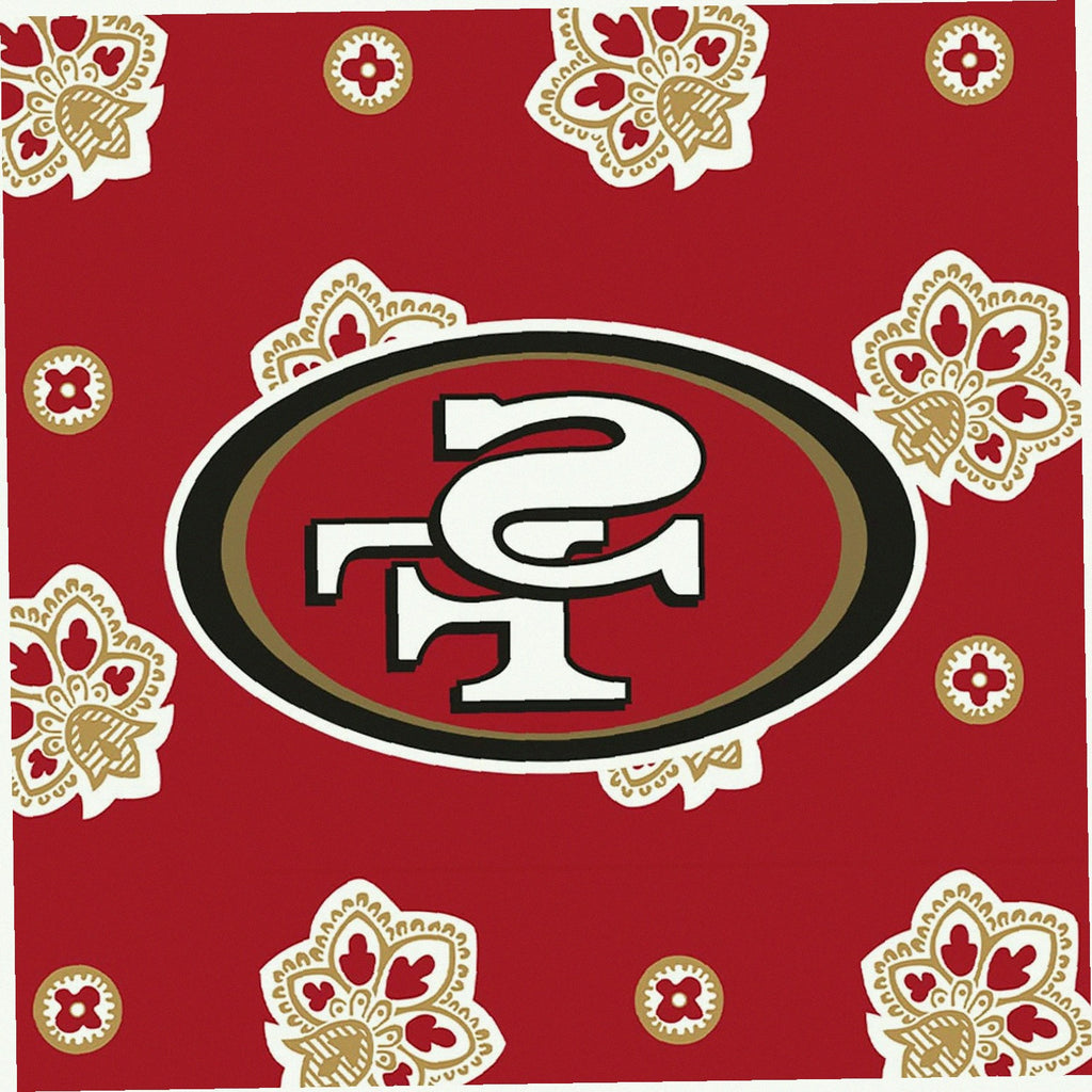 NFL Mini Belt Bag